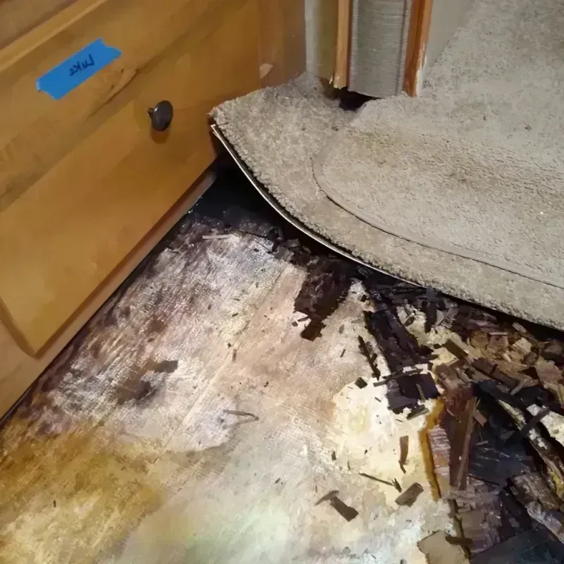 Wood Floor Water Damage in Belmont, NY